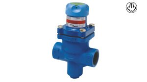 SPIRAX REDUCTOR DE PRESION VAPOR BRV2S