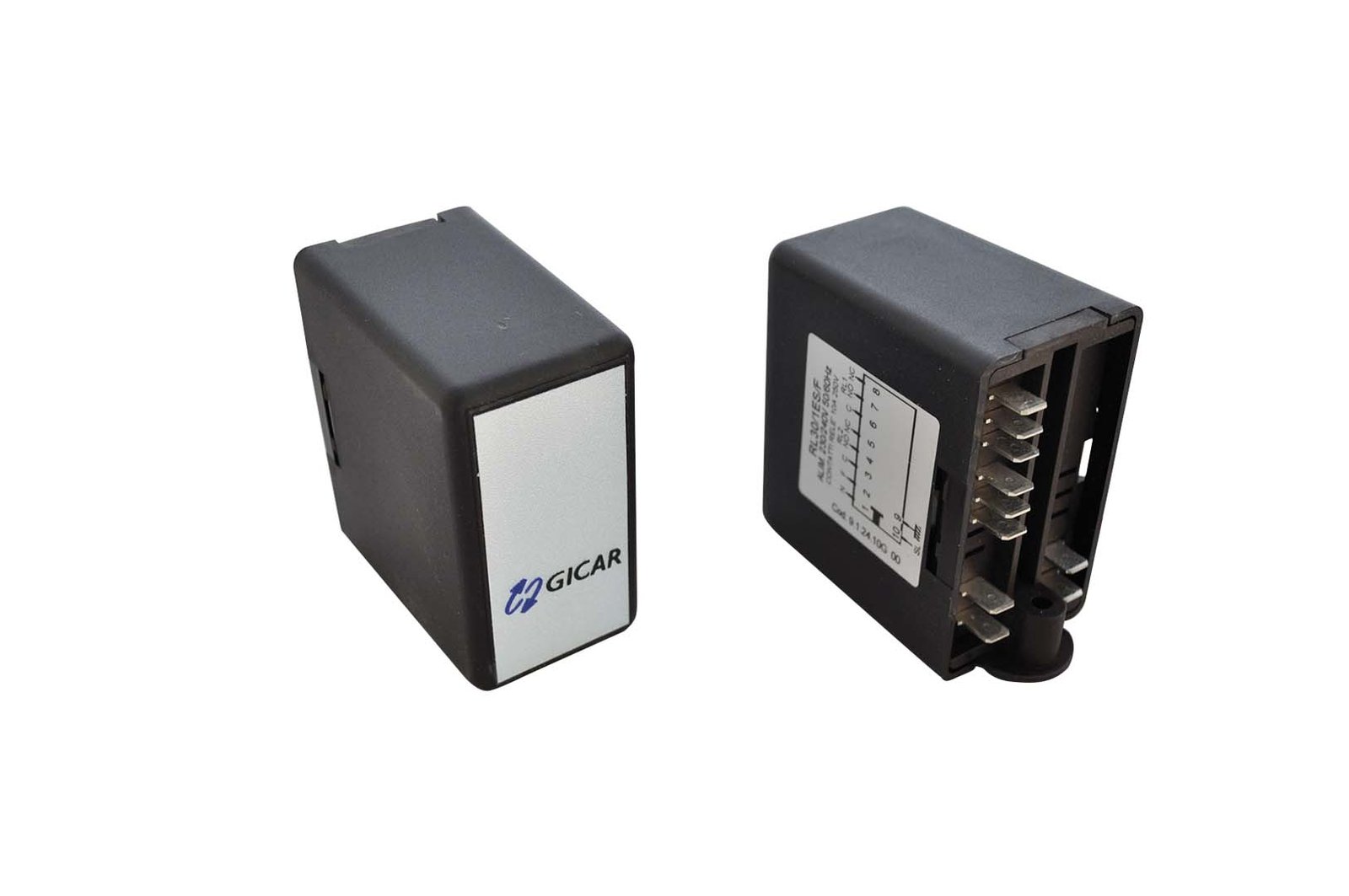 REGOLATORE DI LIVELLO ELETTRONICO RL30/1ES/F R120 100K 230V 9.1.24.10G 00